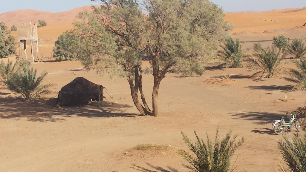 Auberge Africa Hotel Merzouga Exterior photo