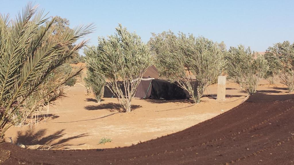 Auberge Africa Merzouga Room photo