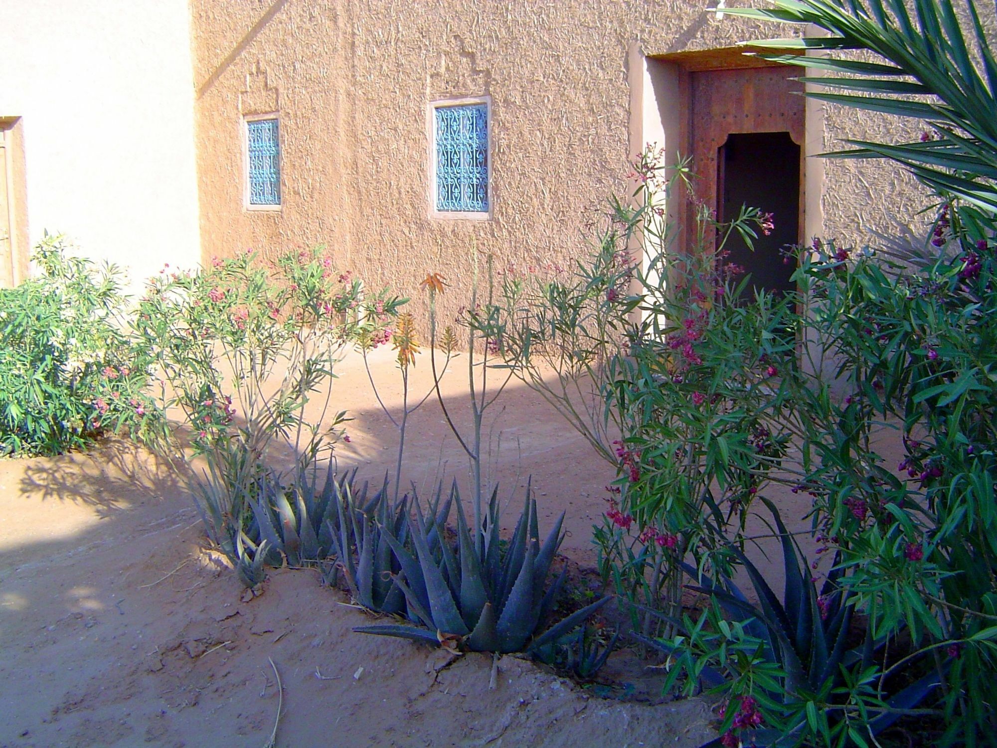 Auberge Africa Hotel Merzouga Exterior photo